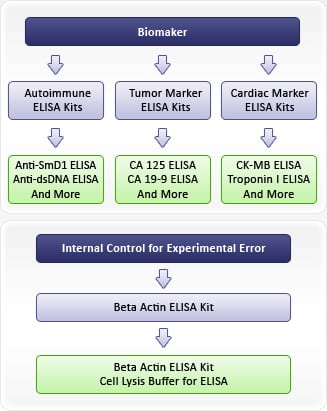 1341986349biomaker_analysis