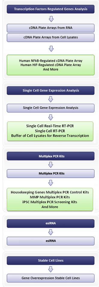 1355166523gene-expression-copy