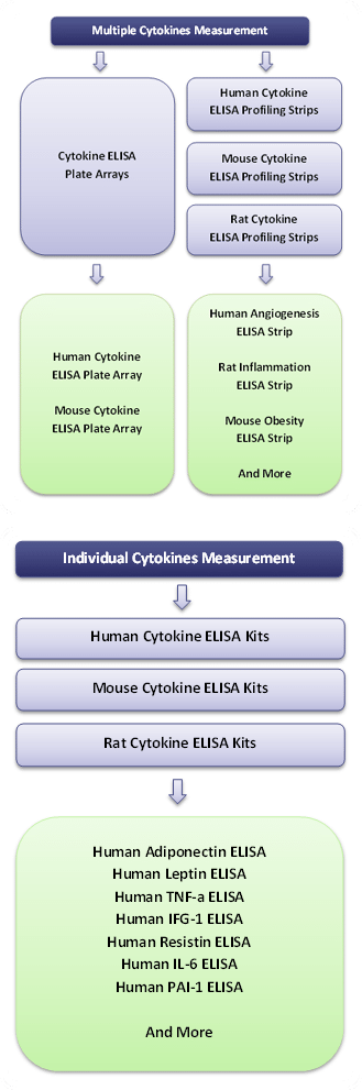 1370988416cytokine-analysis-introduction-copy