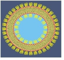 2nd-generation-liposome