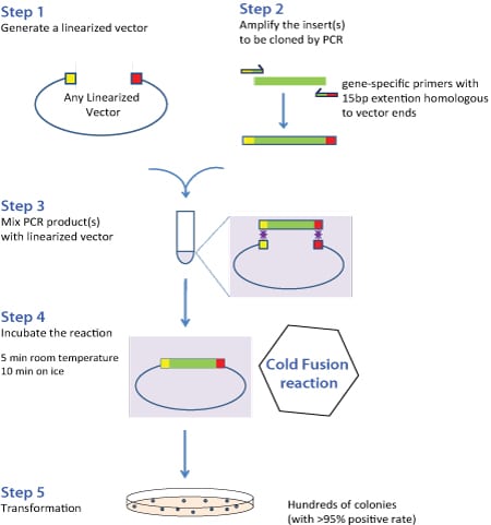 cf_process