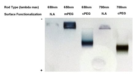 gold-nanorod-pegylation-1