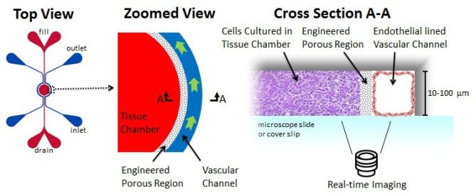 imn2-schematic