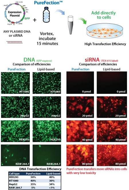 purefect_gfp__sirna_data