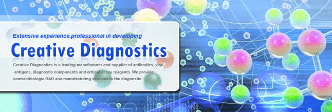 creative-diagnostics