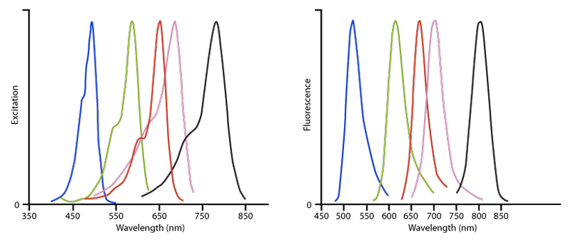 excitation-fluorescence-fig3