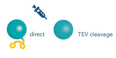 immunization_800x800