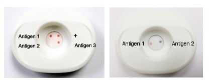 multiplex-vertical-flow-immunoassay