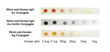 noble-metal-conjugate-dot-blot-1