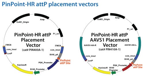 pinpoint-hr-vectors