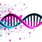 DNA Helix, gene, sbi