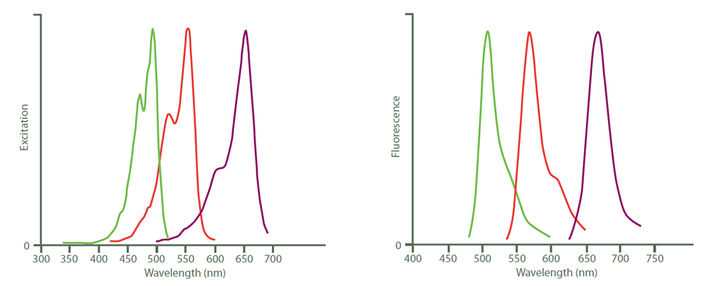 tech-info-fig9