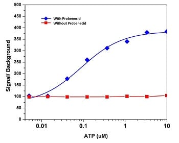 fig1