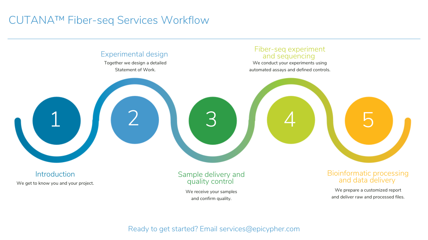 Fiber-seq-Services-Workflow - Epicypher