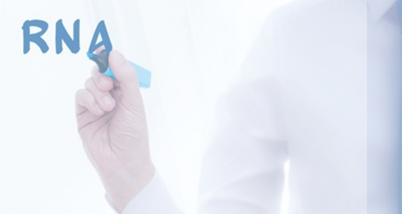 invitek-invagtag-technologie-molecular