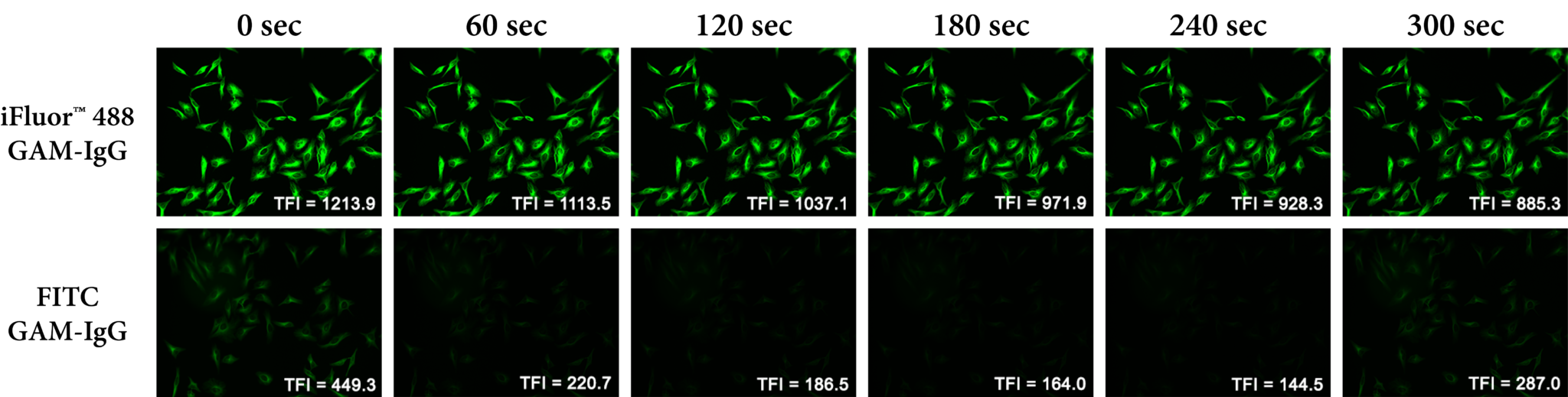 photostability-horiz