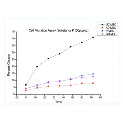 Allorx_Stem_cells_1_400x
