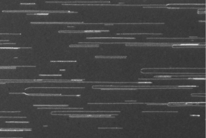 csm_DNA-Combing_4a9c13a288