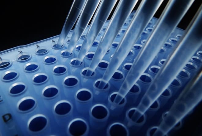 drug-discovery-assasy-1-660X442