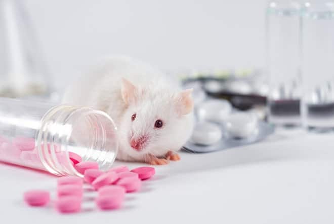 drug-discovery-assay-3