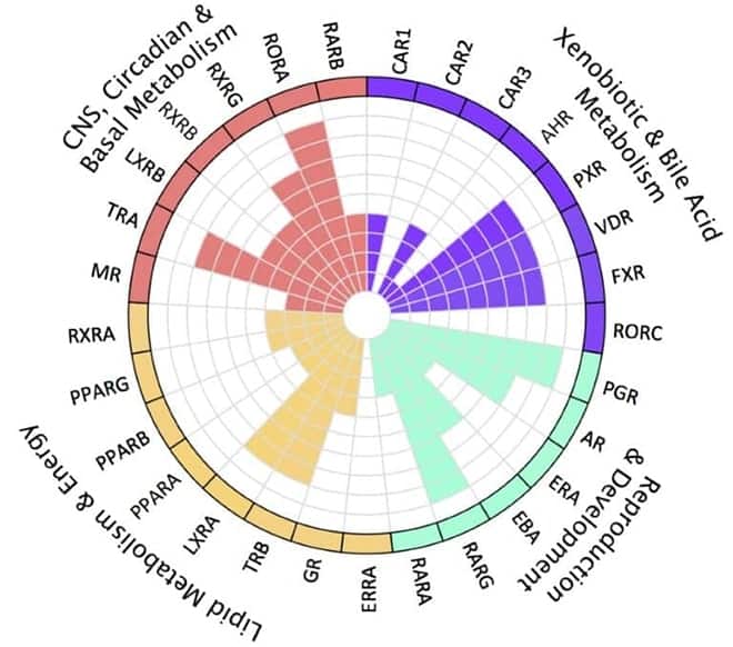 drug-discovery-assay-5-min