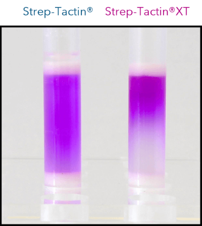 160323_STvsXT_0001-Abb3A