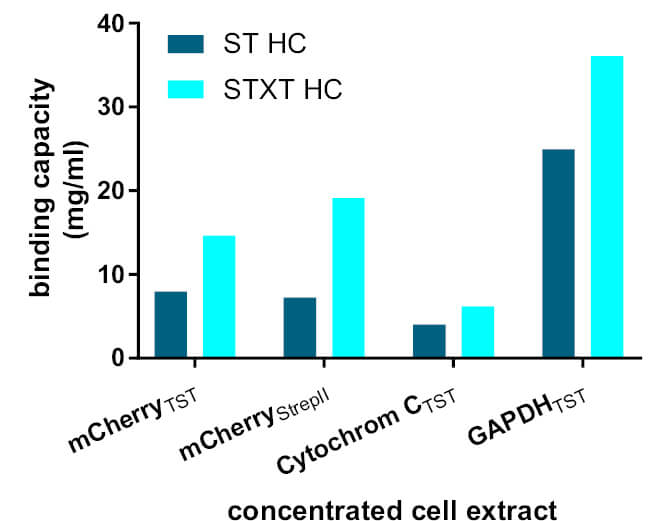 Fig2B_concentrated cell extract_1920x1920