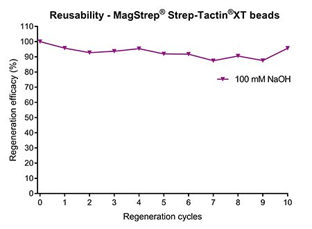 Normalized Regeneration MagStrepXT beads mit 100 mM NaOH