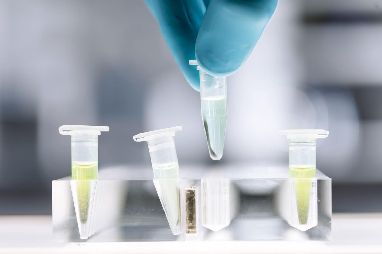 Pull-down_magstrep_beads_1920x1920