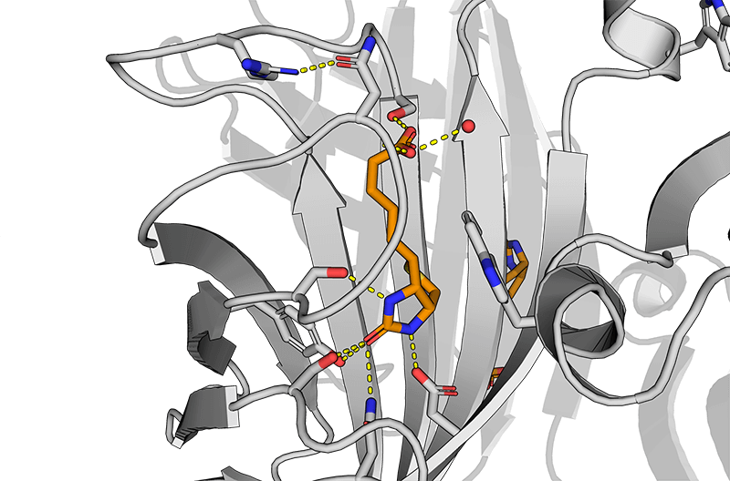 Streptavidin biotin_detail_web_1920x1920