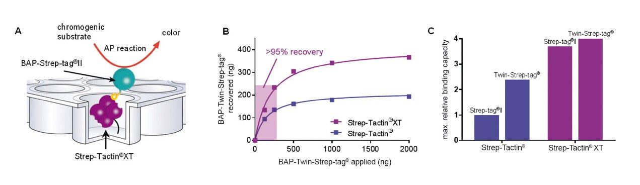 efficient-immobilization-microplates_1920x1920