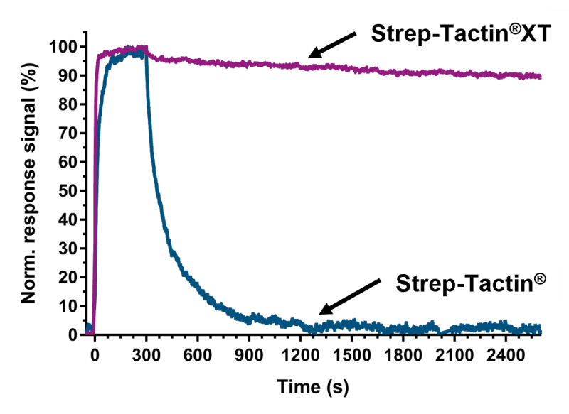 spranalysis-strep-tactinxt_800x800