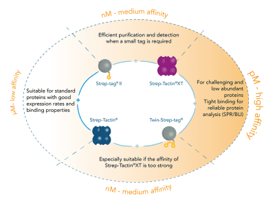 strep-tag-system-affinity_400x400