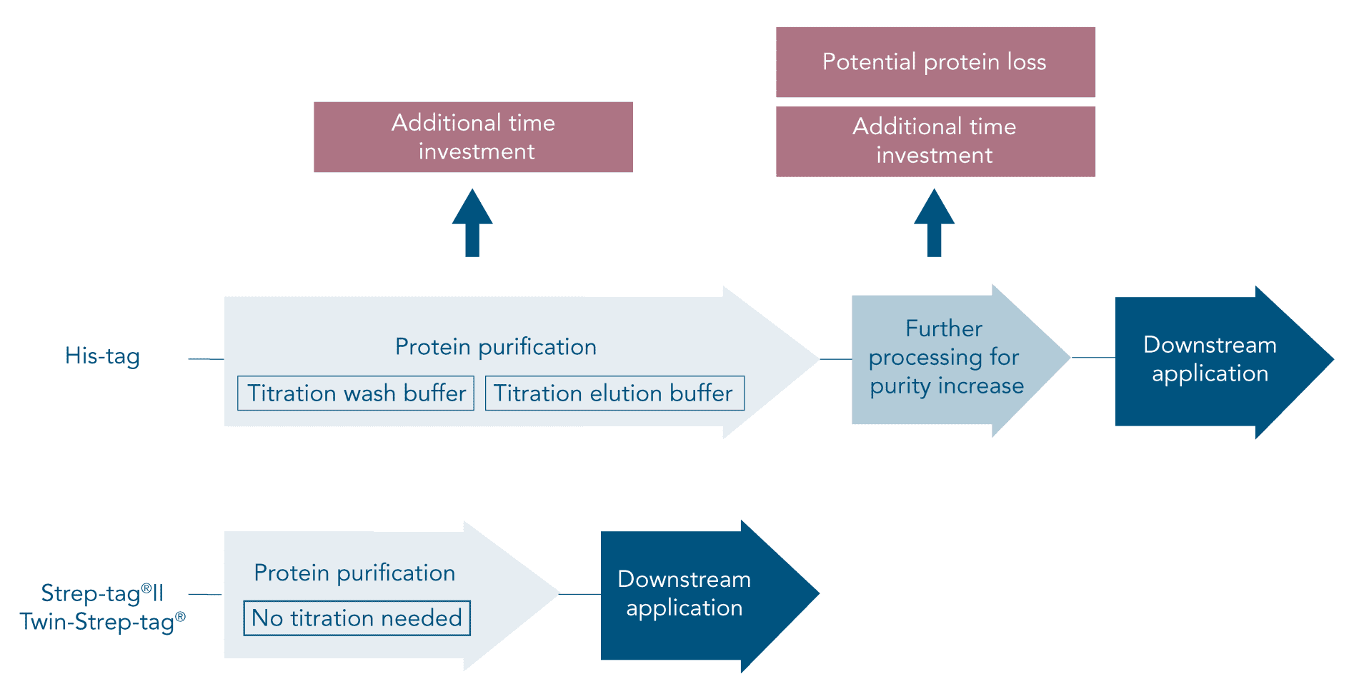 workflow-his-tag-vs-strep-tag-purification-downstream_1920x1920