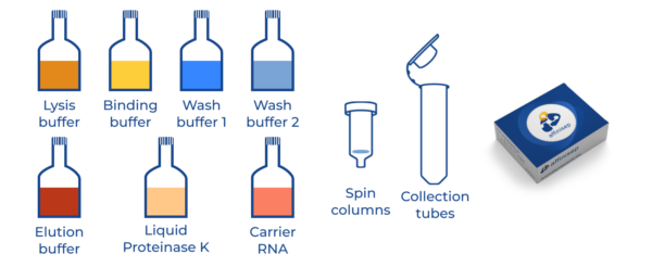 schema_composition_kit_biospe-puregennucleo_spin-600x246