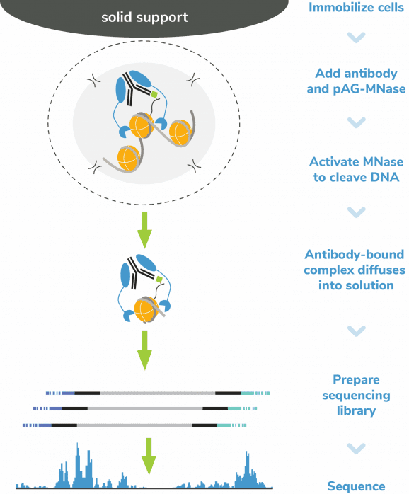 14-1048-23298006-81-figure-5-scaled-r8sgazfvas5siheqoj10w6qvb39yyw8fgq2k09zi6c