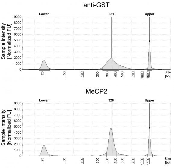 14-1060-24-dna-fragment-size-distribution-analysis-scaled-r6tb34j416128anpgeitl0cwcicygsb1lzuj4bkd36