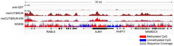 14-1060-24-gene-browser-tracks-scaled-r6tb34j416128anpgeitl0cwcicygsb1lzuj4bk9zs