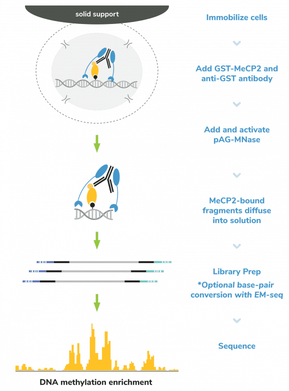 mecut-run-methods-scaled-r6tb5pl4trkg5owjd0qvxuvj5nmamtkgysflmpqfpo